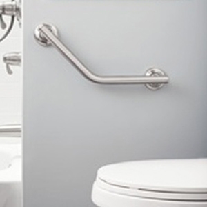Toilet Grab Bars